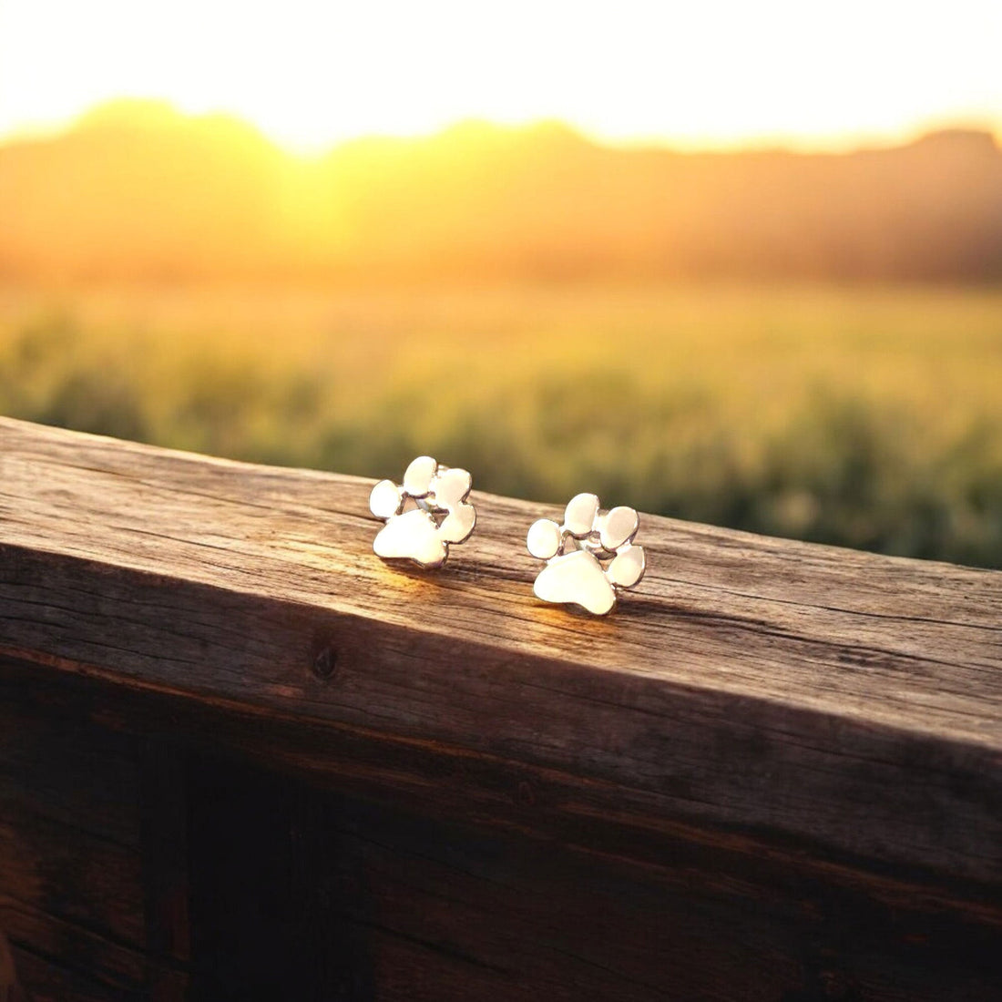 Hypoallergenic Paw Earrings | Made of Stainless Steel